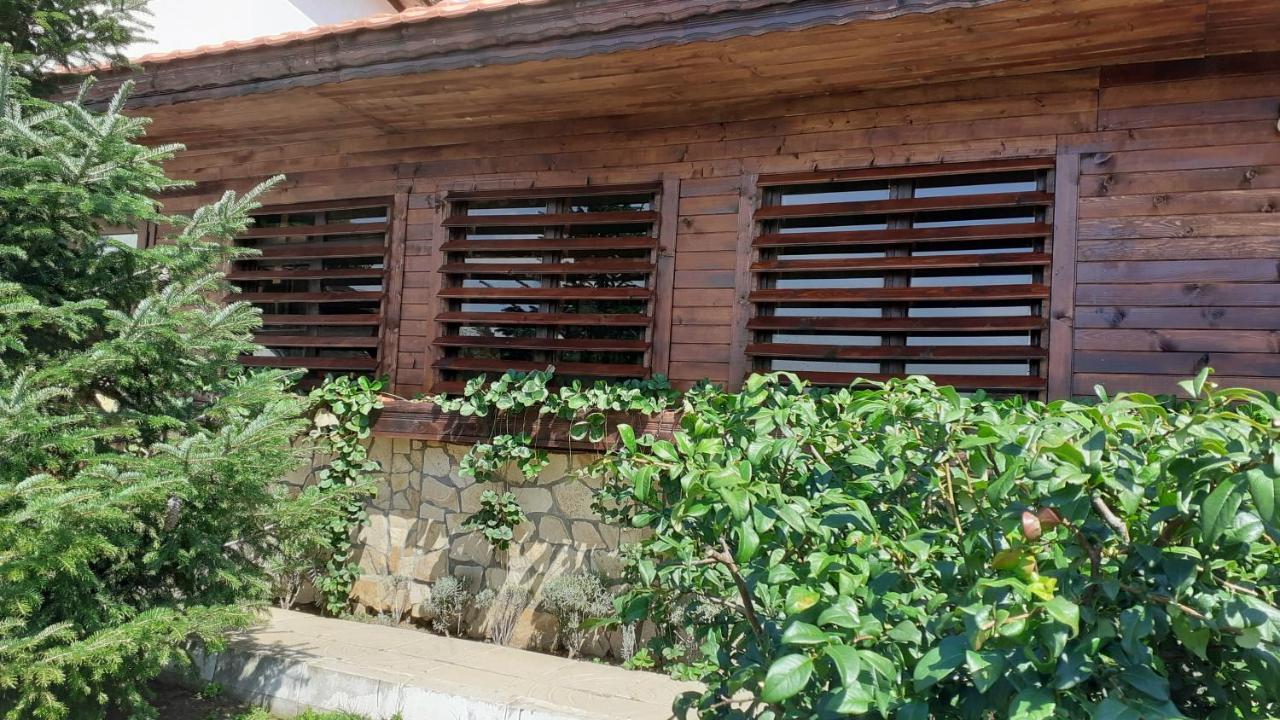Guesthouse Dida Saparewa Banja Exterior foto