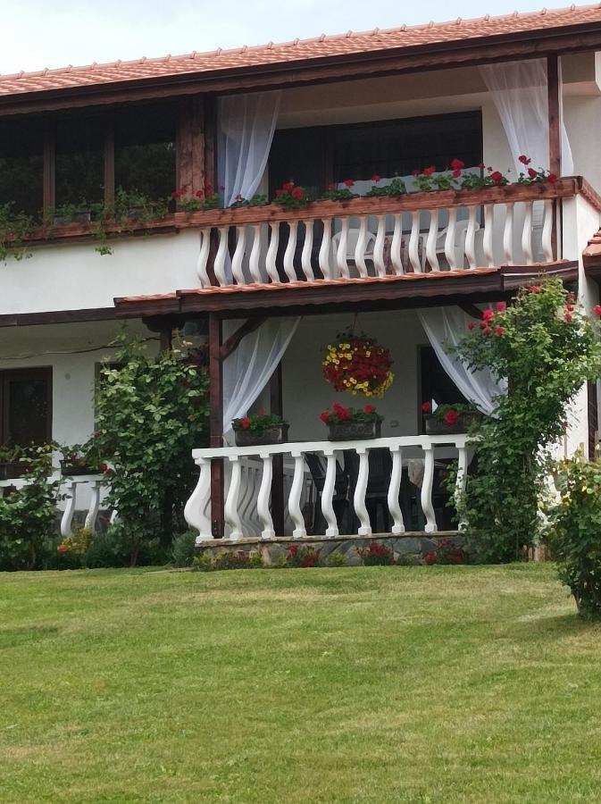 Guesthouse Dida Saparewa Banja Exterior foto